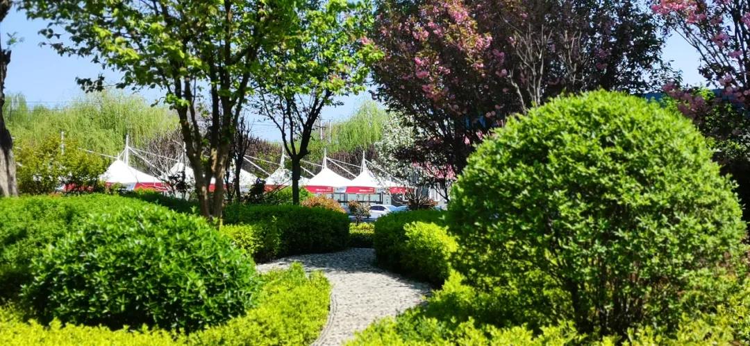 1618793311104673.jpg 132.jpg